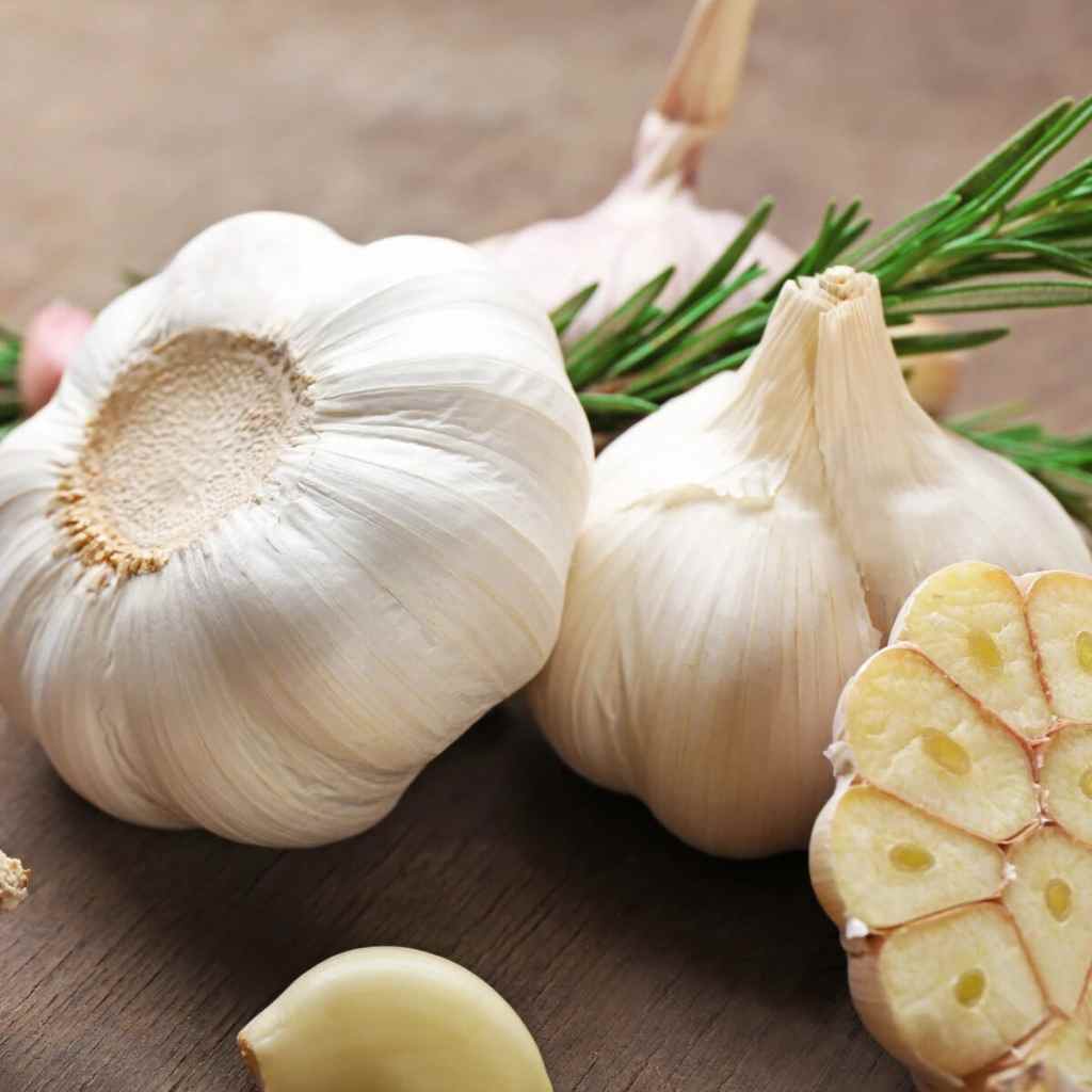 سیر خشک تازه با فرآوری استاندارد و طبیعی